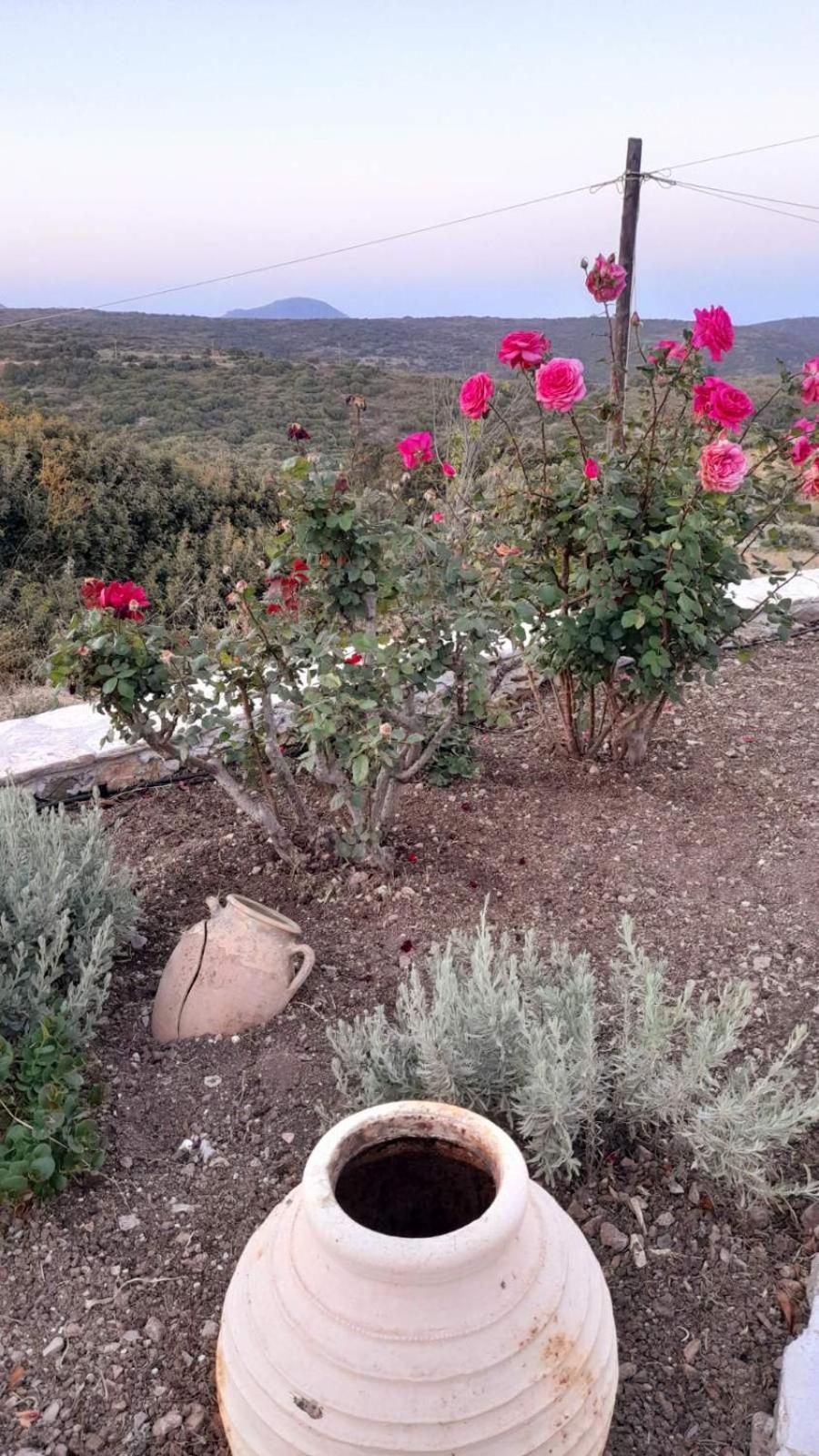 Tsipouras House Villa Kíthira Kültér fotó